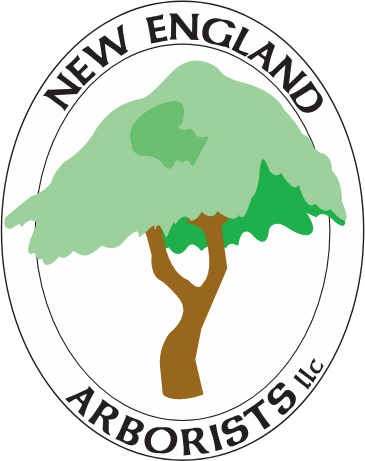 A logo of a tree with the words new england arborists, llc.