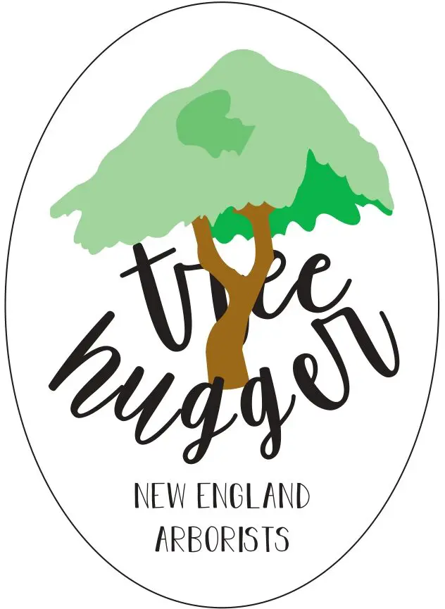 A tree hugger sticker with the words " tree hugger new england ".