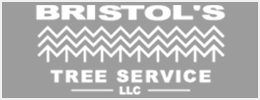 A picture of the logo for kriston tree service.