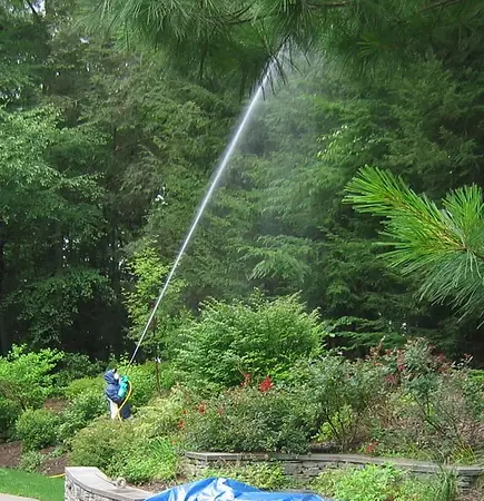 A man is spraying water from the top of a hose.